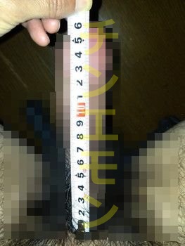 VgDX
