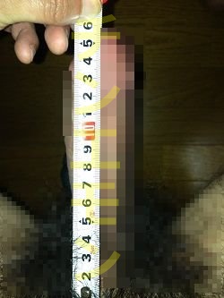 Vgv