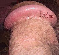 JƂ́HǂӖł傤H
