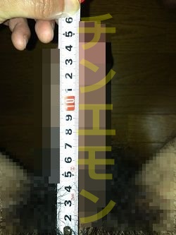 ׃t@C